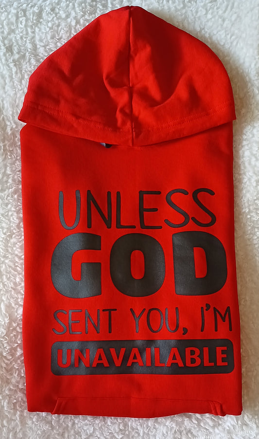 Unless God Sent You Hoodie