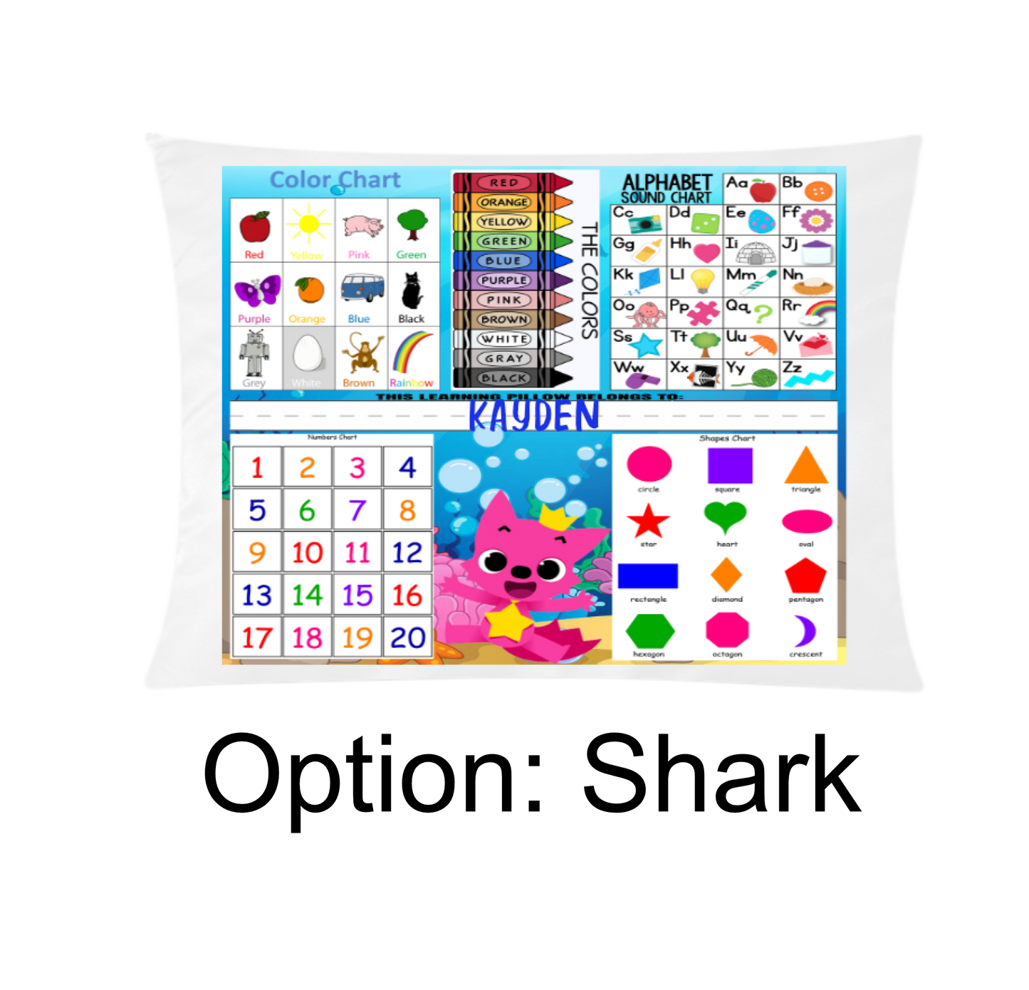 Child's Learning Pillow